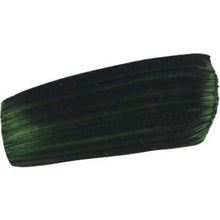 Load image into Gallery viewer, FL Jenkins GreenACRYLIC PAINTGolden Fluid