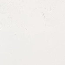 Load image into Gallery viewer, Gamblin Radiant WhiteOIL PAINTGamblin