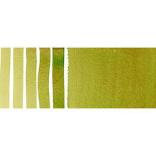 Load image into Gallery viewer, Serpentine Genuine DANIEL SMITH Watercolour
