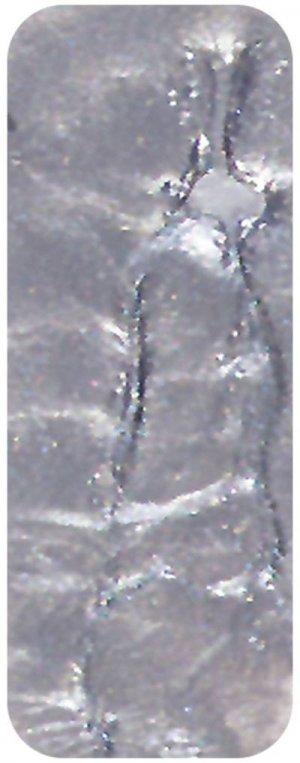 Metallic Silver Structure
