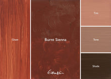 Load image into Gallery viewer, Gamblin Burnt SiennaOIL PAINTGamblin
