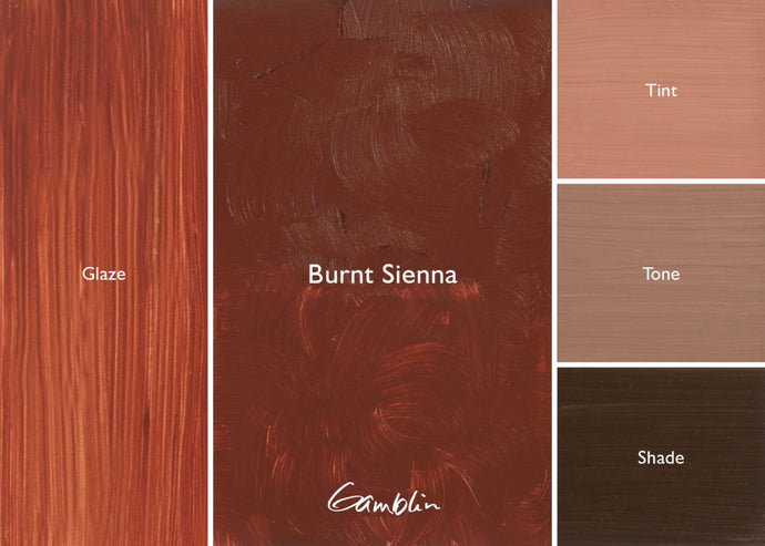 Gamblin Burnt SiennaOIL PAINTGamblin