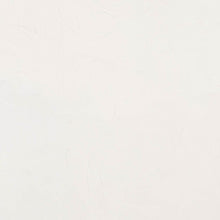 Load image into Gallery viewer, Gamblin Quickdry WhiteOIL PAINTGamblin
