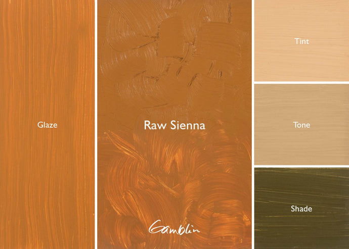 Gamblin Raw SiennaOIL PAINTGamblin