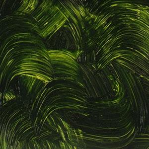 Gamblin Sap GreenOIL PAINTGamblin
