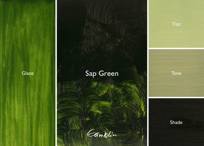 Gamblin Sap GreenOIL PAINTGamblin
